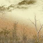 Stormy Rain
