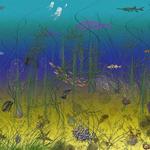 Ocean Below