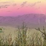 Desert Storm