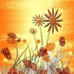 Daisy Day