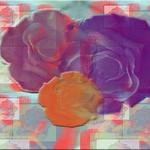 Three Roses